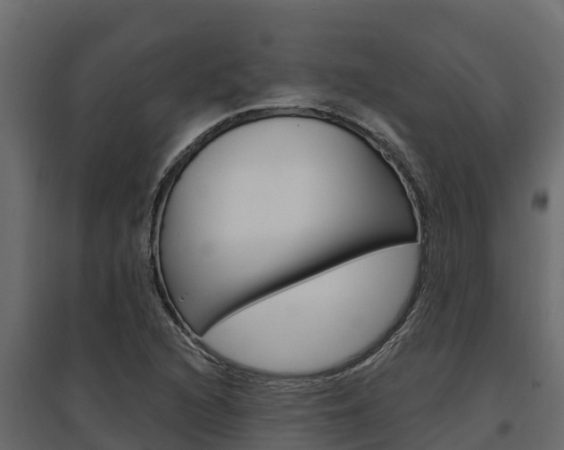 X0000097771216200803070852