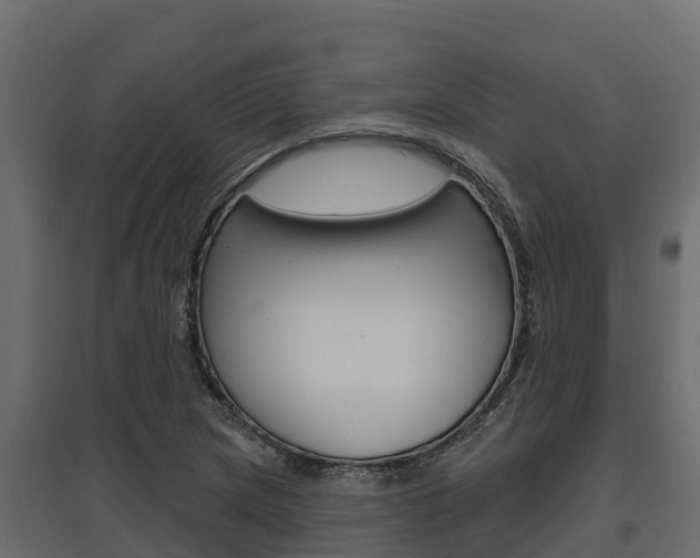 X0000097771217200803070853