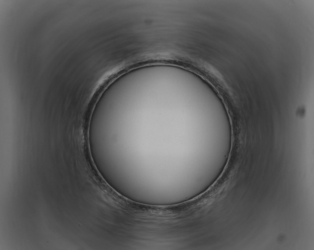 X0000097771218200803070853