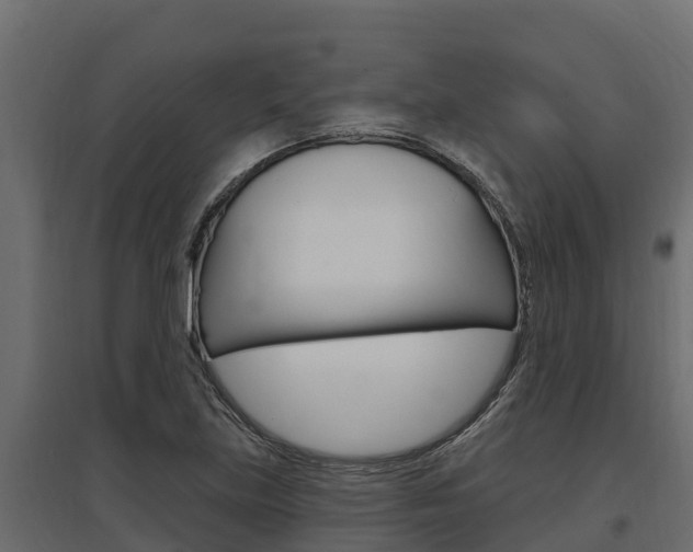 X0000097771219200803070853