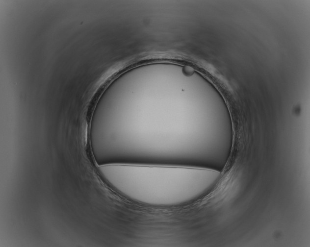 X0000097771221200803070853