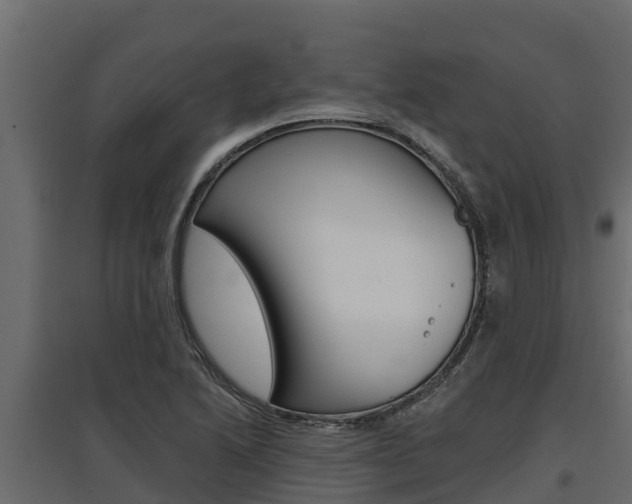 X0000097771222200803070853