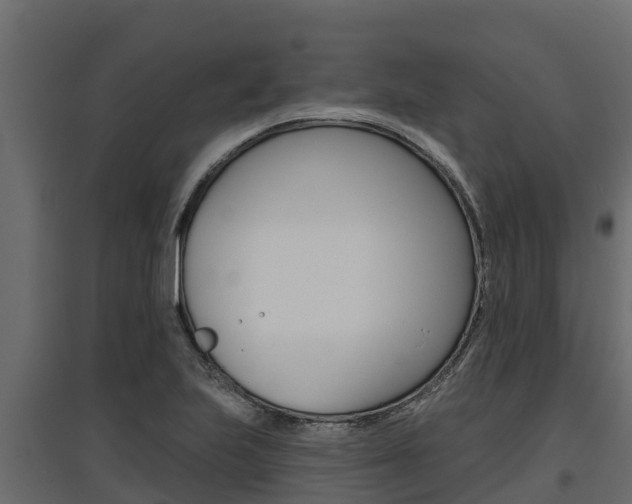 X0000097771223200803070853