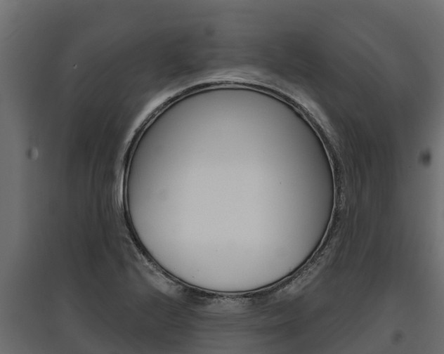 X0000097771224200803070853
