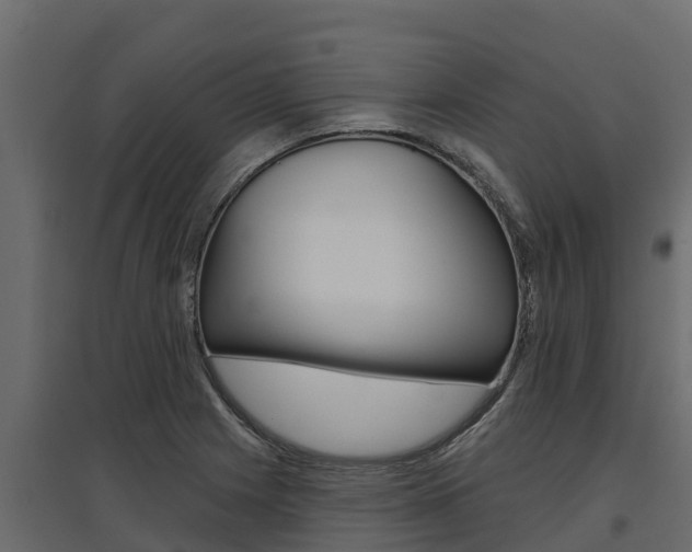 X0000097771225200803070853