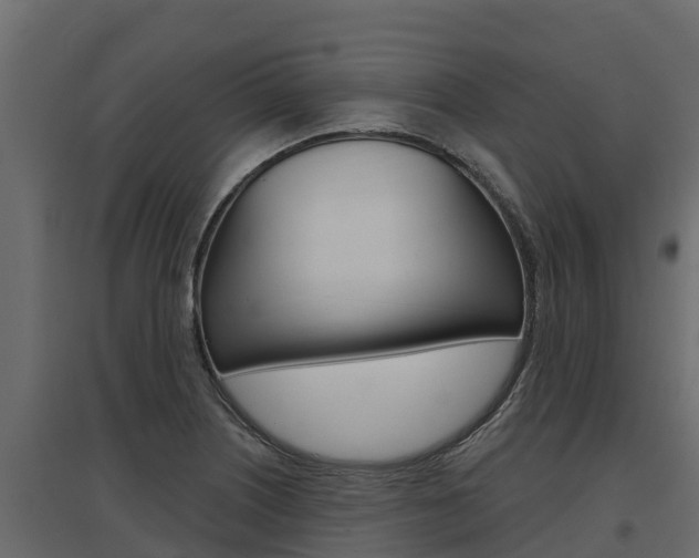 X0000097771226200803070853
