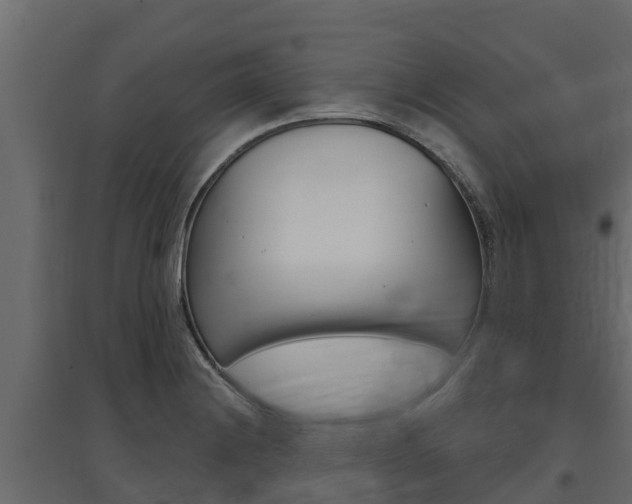 X0000097771228200803070853