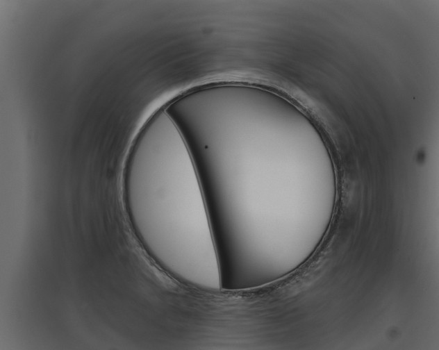 X0000097771230200803070853