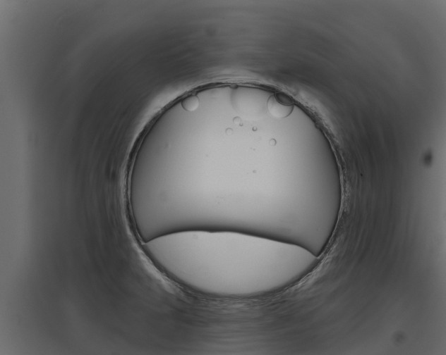 X0000097771231200803070853
