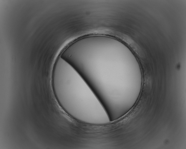 X0000097771232200803070853