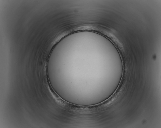 X0000097771233200803070853