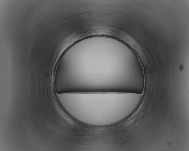 X0000097771234200803070853