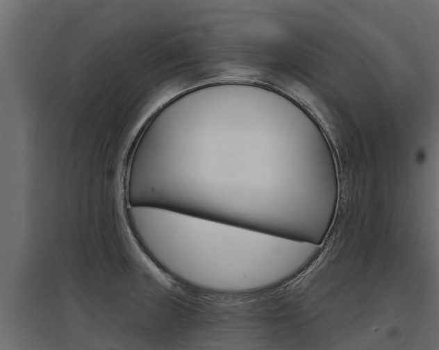 X0000097771235200803070853