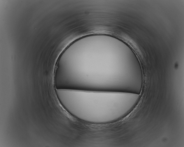 X0000097771236200803070853