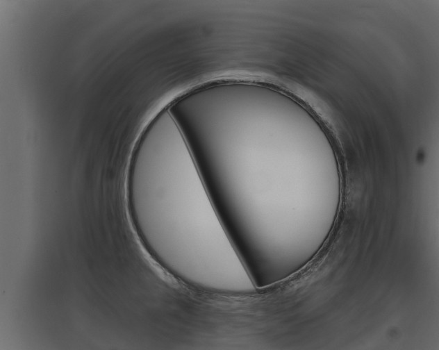 X0000097771237200803070853
