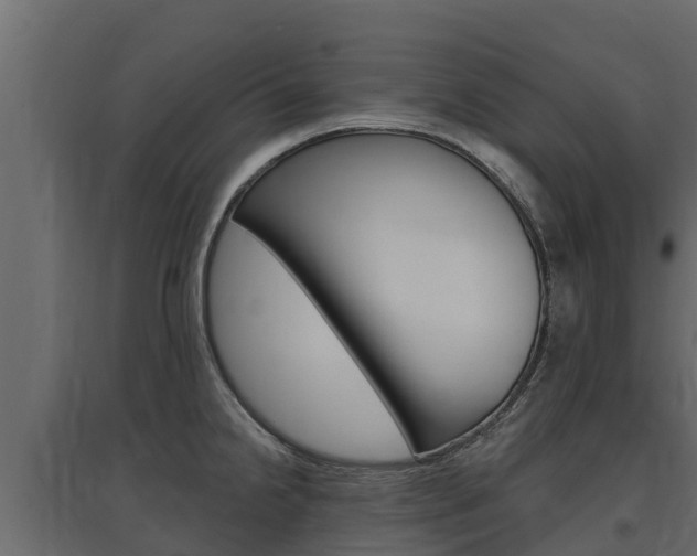 X0000097771238200803070853