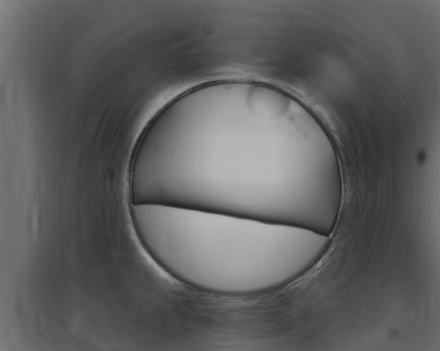 X0000097771239200803070853