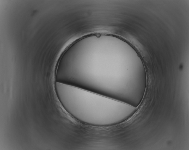 X0000097771240200803070853