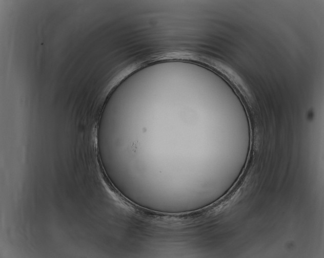 X0000097771241200803070853