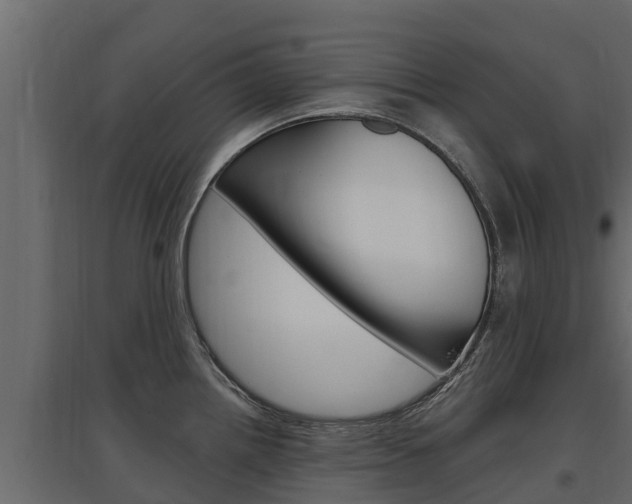 X0000097771242200803070853
