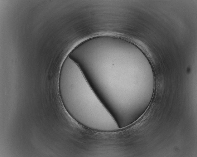 X0000097771244200803070853