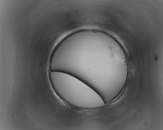 X0000097771245200803070853