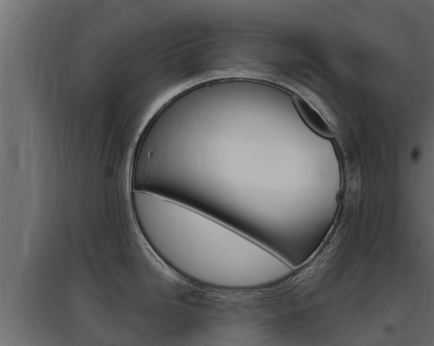 X0000097771246200803070853