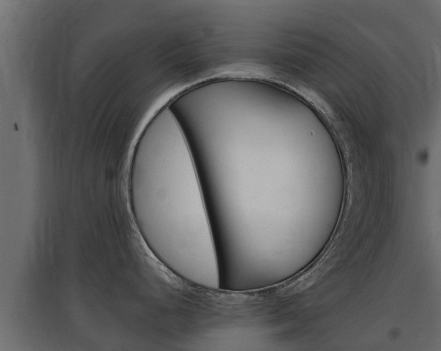 X0000097771248200803070853