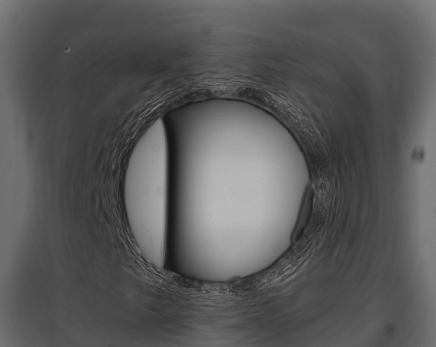 X0000097771249200803070852