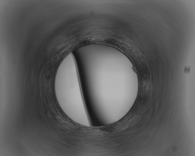 X0000097771250200803070852