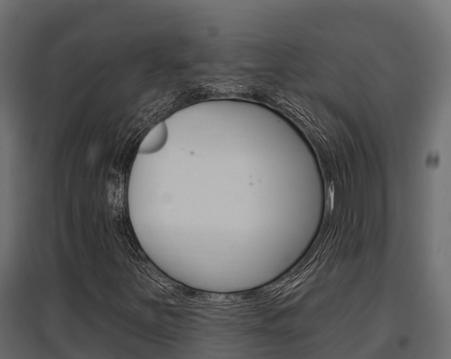 X0000097771251200803070852