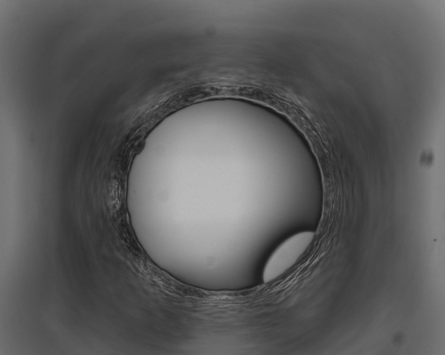 X0000097771253200803070852