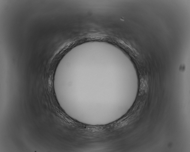 X0000097771254200803070852