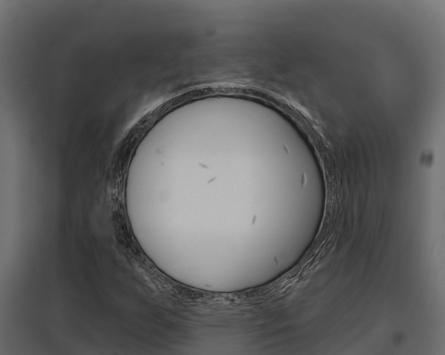 X0000097771255200803070852