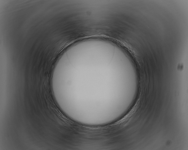 X0000097771257200803070852