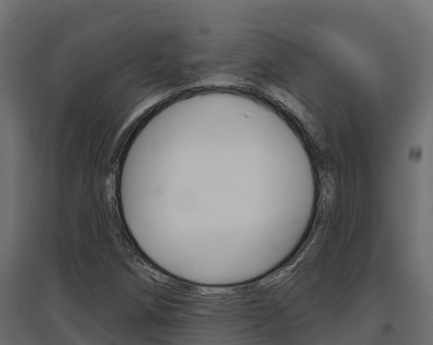 X0000097771258200803070852