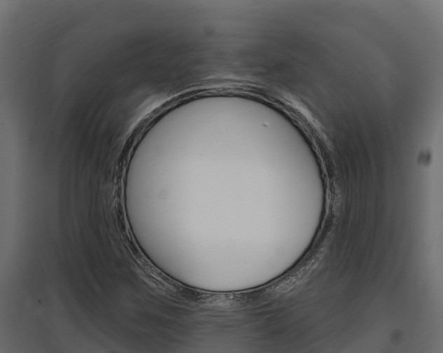 X0000097771259200803070852