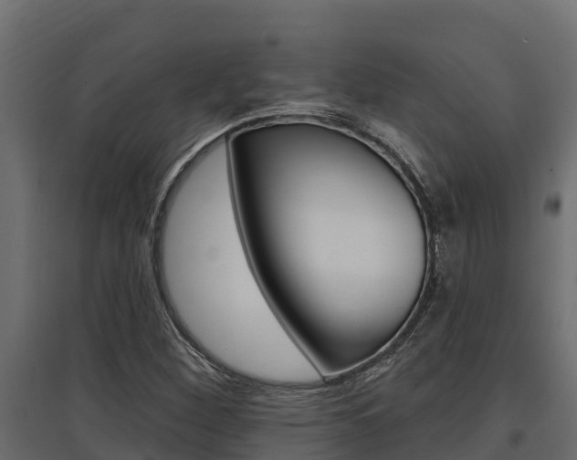 X0000097771260200803070852