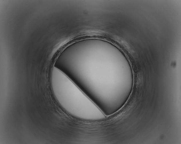 X0000097771261200803070852