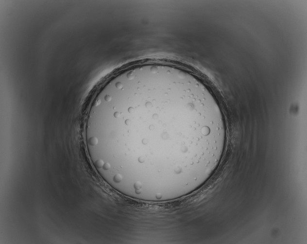X0000097771263200803070852