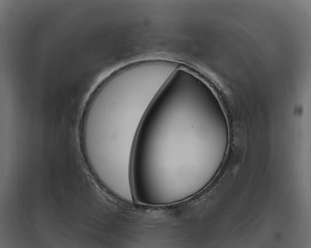 X0000097771264200803070852