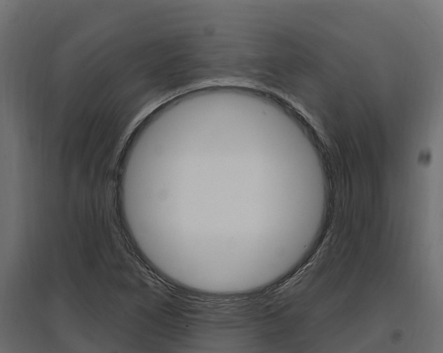 X0000097771266200803070852