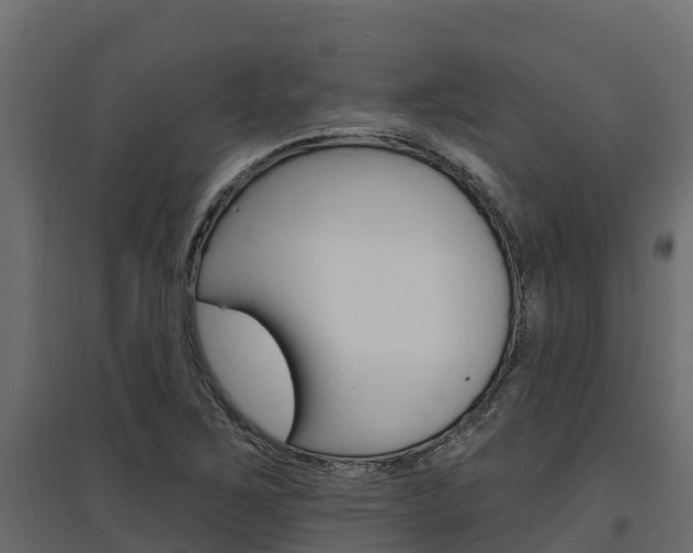 X0000097771267200803070852
