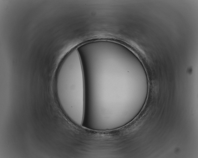 X0000097771269200803070852