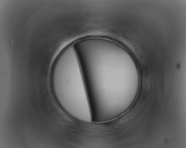 X0000097771270200803070852