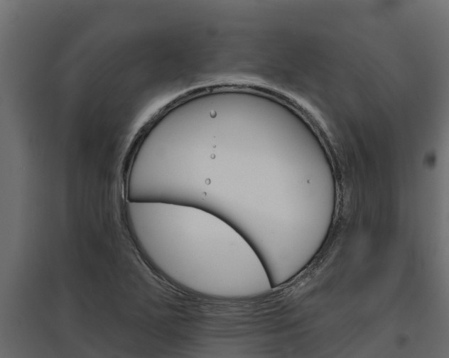 X0000097771271200803070852