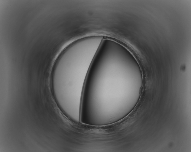 X0000097771272200803070852
