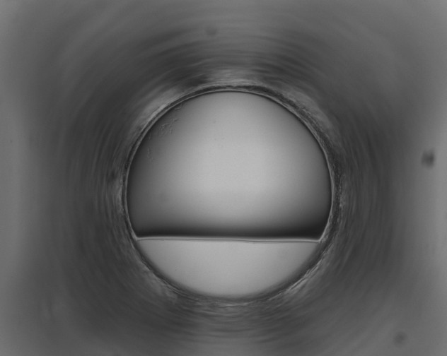 X0000097771273200803070852