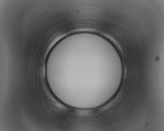 X0000097771274200803070852