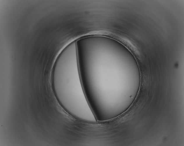 X0000097771276200803070852